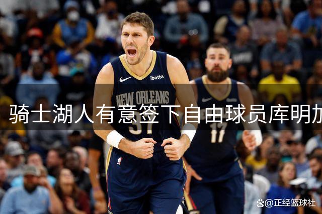 骑士湖人有意签下自由球员库明加